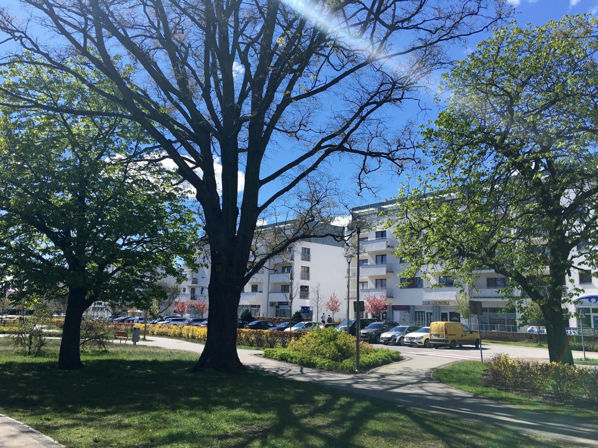 Apartamenty Platan - Visitopl Swinoujscie Exterior photo